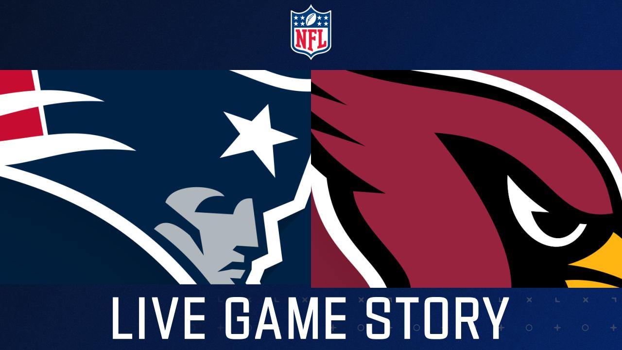 New England Patriots vs. Arizona Cardinals - Sunday Night Football - Dawgs  By Nature